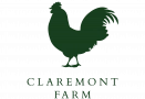 Wirral Viking Festivals – Claremont Farm